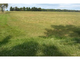 Dekalb County, Indiana Farmland - MAJOR LAND AUCTION - 516+/- ACRES OFFERED IN 18 TRACTS OR COMBINATIONS IN DEKALB COUNTY, INDIANA
